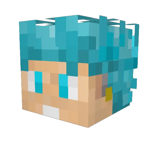 chipotlebro Minecraft avatar head, 3D render