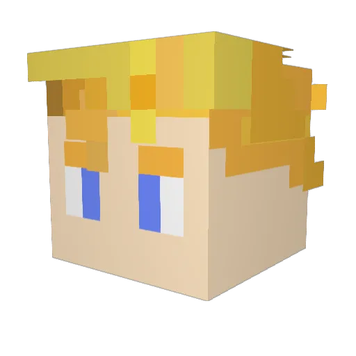 chips__0 Minecraft avatar head, 3D render