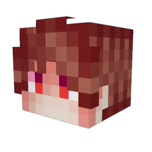 chipsina312 Minecraft avatar head, 3D render