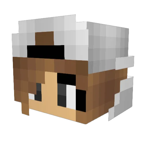 chipskasse Minecraft avatar head, 3D render