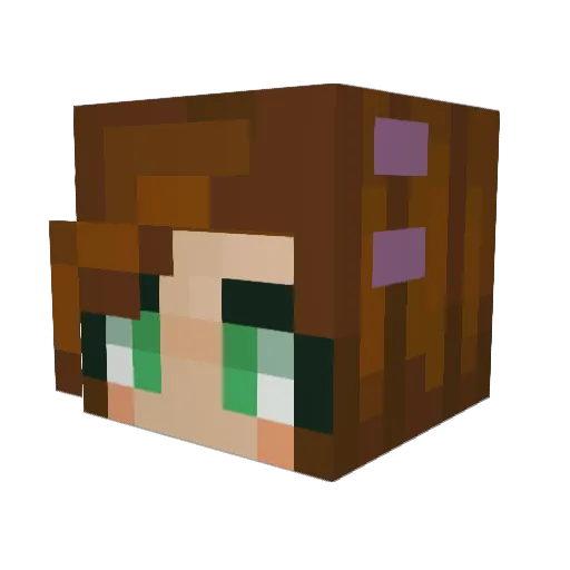 chipydipp Minecraft avatar head, 3D render
