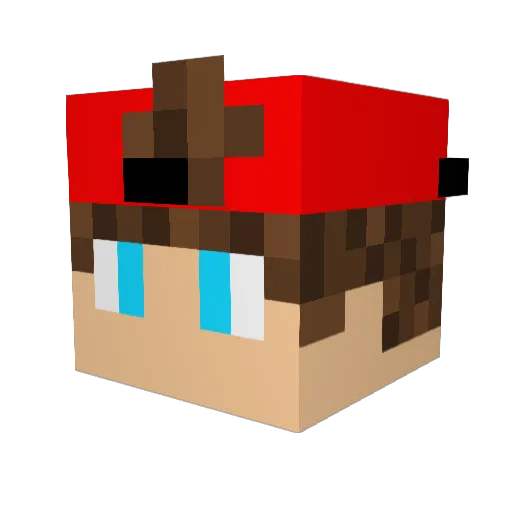chirimo_ Minecraft avatar head, 3D render