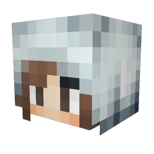 chis1997 Minecraft avatar head, 3D render