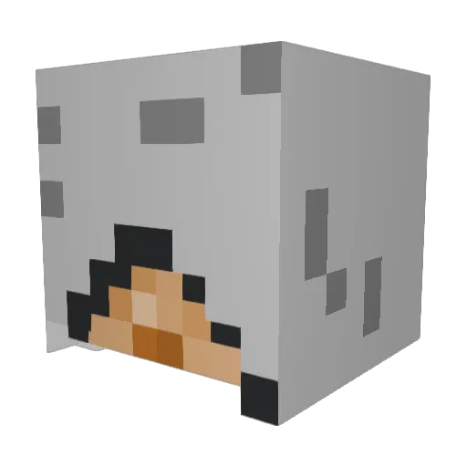 chiselcharlie2 Minecraft avatar head, 3D render