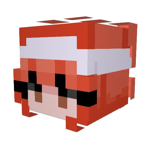 chiton117 Minecraft avatar head, 3D render