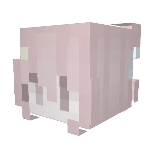 chiwhua Minecraft avatar head, 3D render