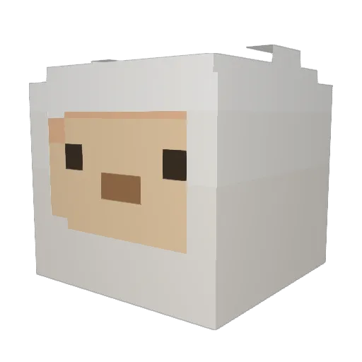 chlater Minecraft avatar head, 3D render