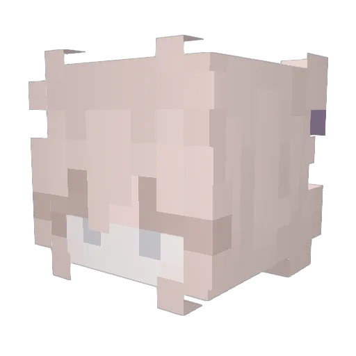 chldmswjd Minecraft avatar head, 3D render