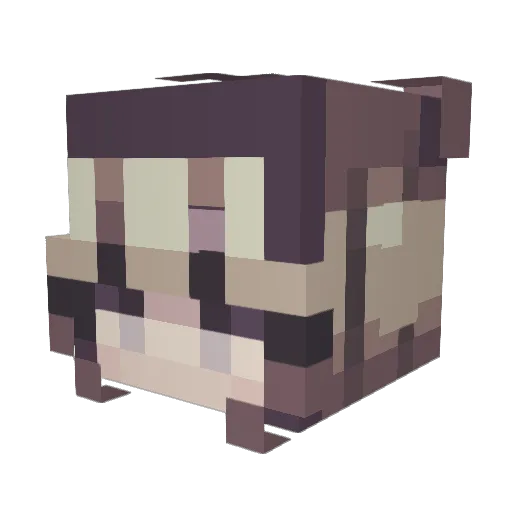 chlmcan Minecraft avatar head, 3D render