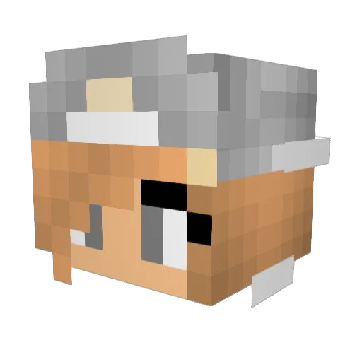 chlococol Minecraft avatar head, 3D render
