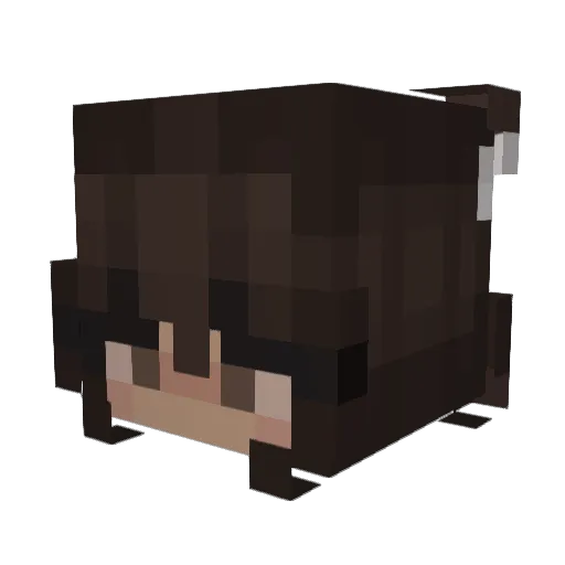 chloe7289 Minecraft avatar head, 3D render