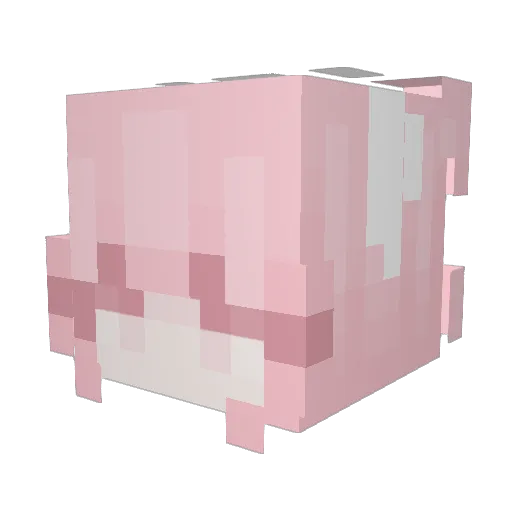 chloee_pov Minecraft avatar head, 3D render