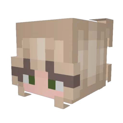 chloeee11111 Minecraft avatar head, 3D render
