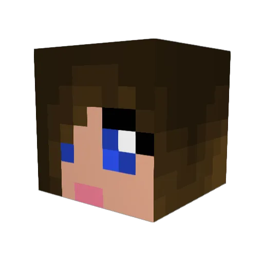 chloes123 Minecraft avatar head, 3D render