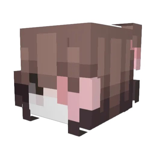 chlokalok Minecraft avatar head, 3D render