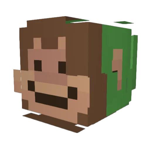 chlopee Minecraft avatar head, 3D render