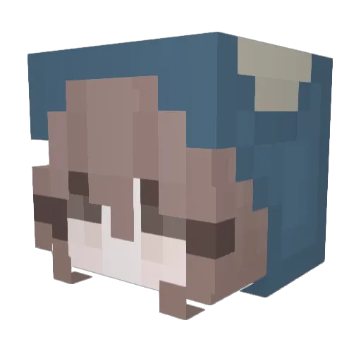 chlorb_ Minecraft avatar head, 3D render