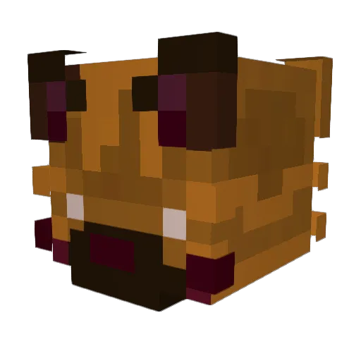 chmufm_emmrr Minecraft avatar head, 3D render