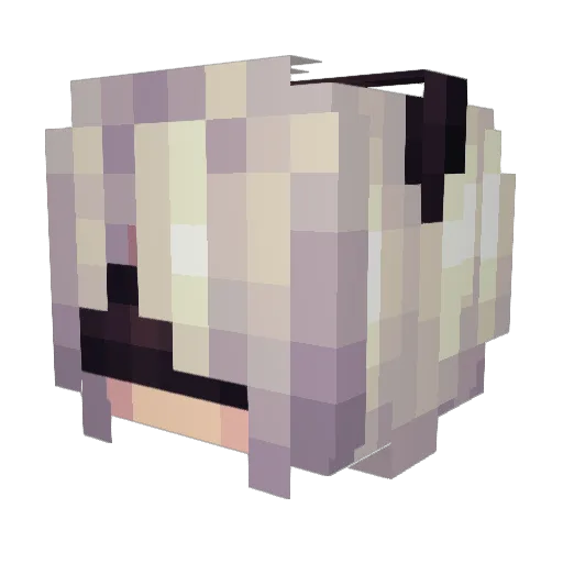 choba_06 Minecraft avatar head, 3D render