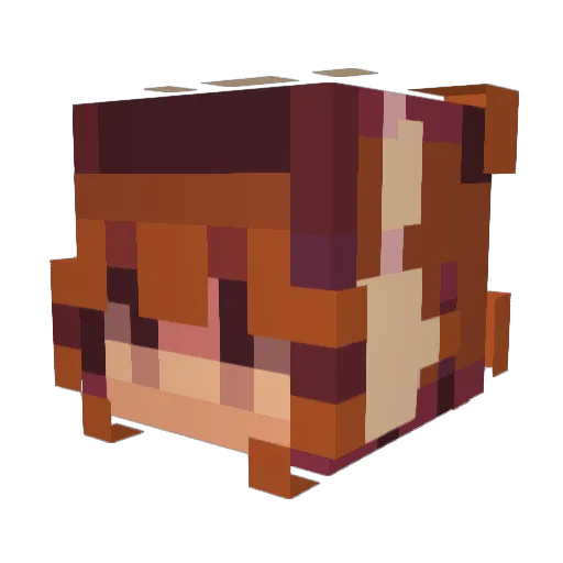 chocchip456 Minecraft avatar head, 3D render