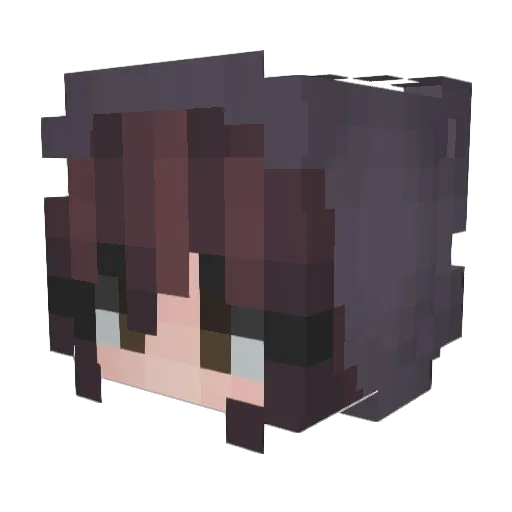 choccy_cake Minecraft avatar head, 3D render
