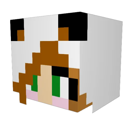 choccypanda Minecraft avatar head, 3D render