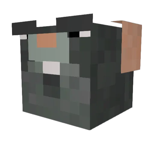 chocholand Minecraft avatar head, 3D render