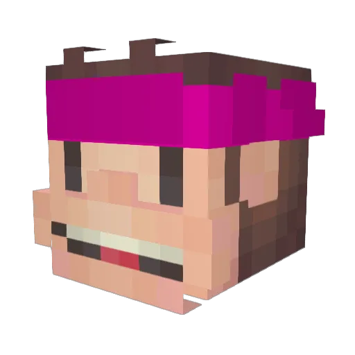 choco1234567 Minecraft avatar head, 3D render