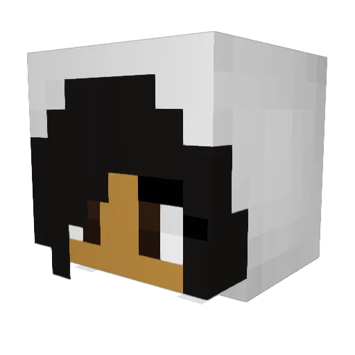 choco_bun3556 Minecraft avatar head, 3D render