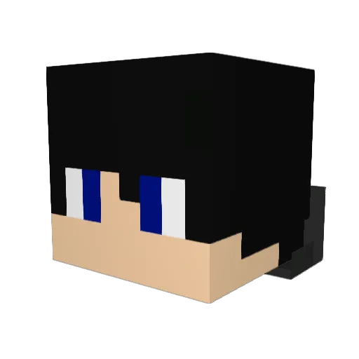 choco_duck Minecraft avatar head, 3D render