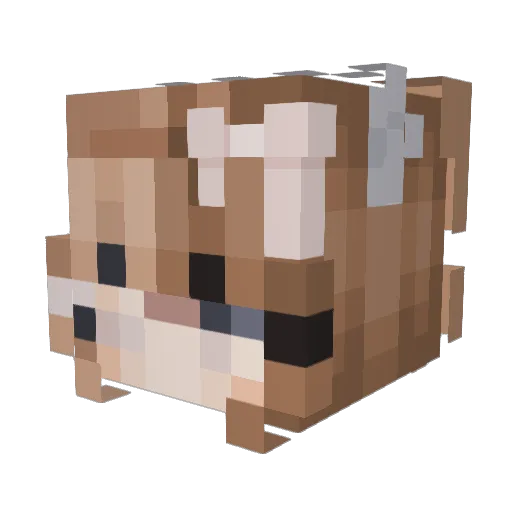 chococakelover1 Minecraft avatar head, 3D render