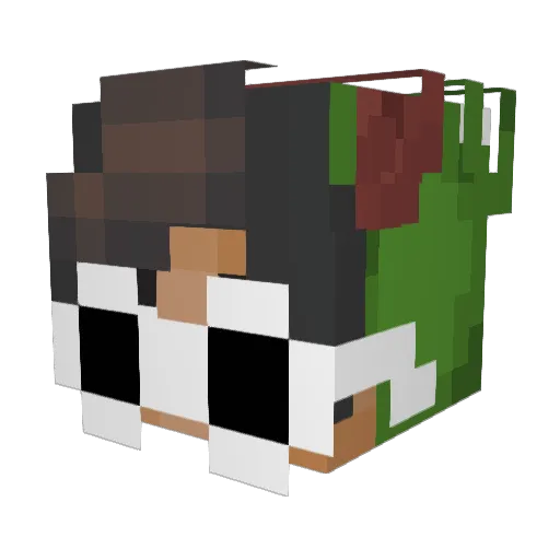 chocofrogs Minecraft avatar head, 3D render