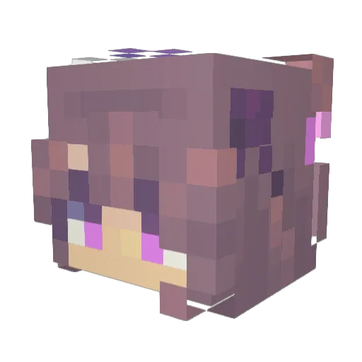 chocokitkat898 Minecraft avatar head, 3D render