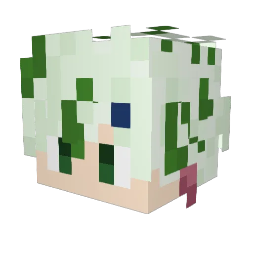 chocolate01042 Minecraft avatar head, 3D render