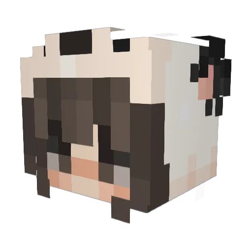 chocolate505 Minecraft avatar head, 3D render
