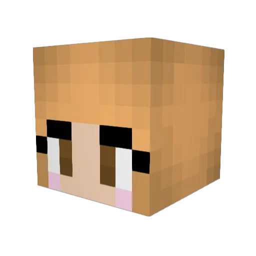 chocolatebean Minecraft avatar head, 3D render