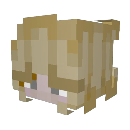 chocolatedark Minecraft avatar head, 3D render