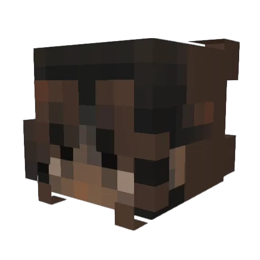 chocopieloverr Minecraft avatar head, 3D render