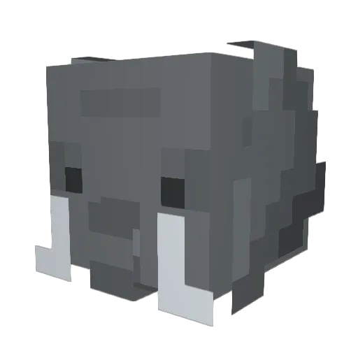 chocotig Minecraft avatar head, 3D render