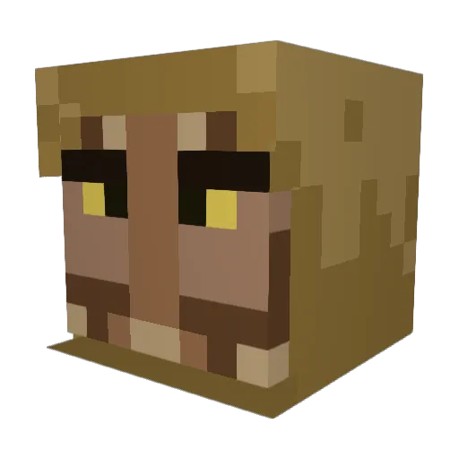 chodges2018 Minecraft avatar head, 3D render
