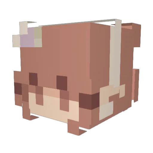 choerries Minecraft avatar head, 3D render