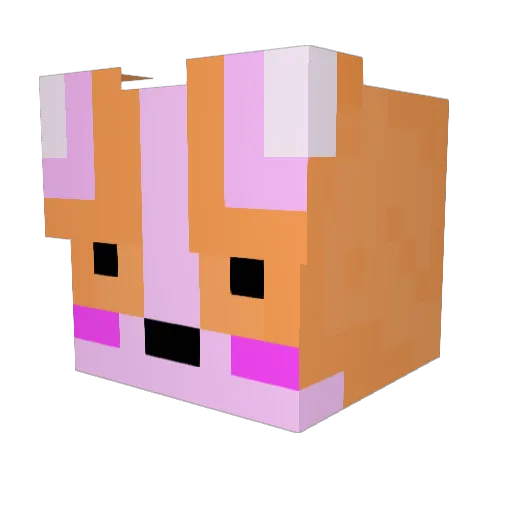choi_11 Minecraft avatar head, 3D render