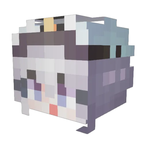 choicitizen Minecraft avatar head, 3D render