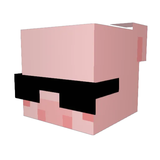 choihym Minecraft avatar head, 3D render