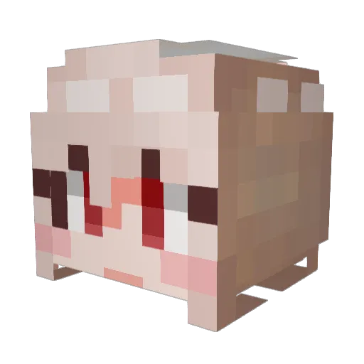 choijy2356 Minecraft avatar head, 3D render