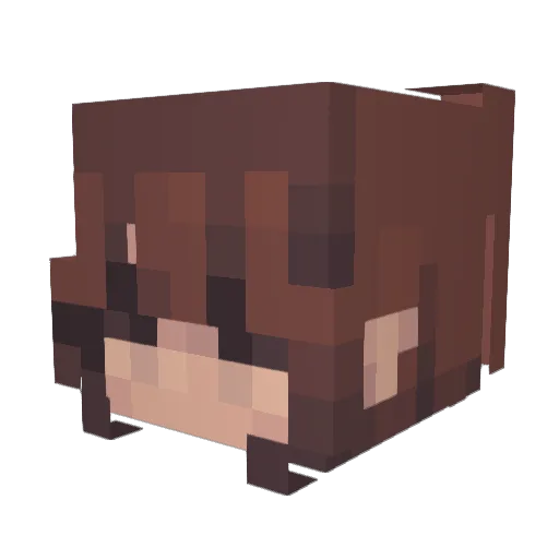 choiminho Minecraft avatar head, 3D render