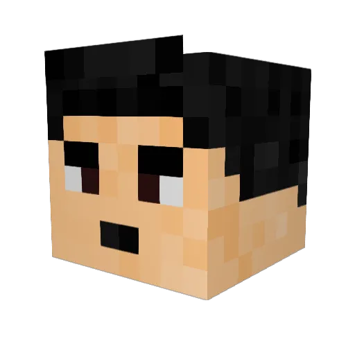 choiswhoe Minecraft avatar head, 3D render