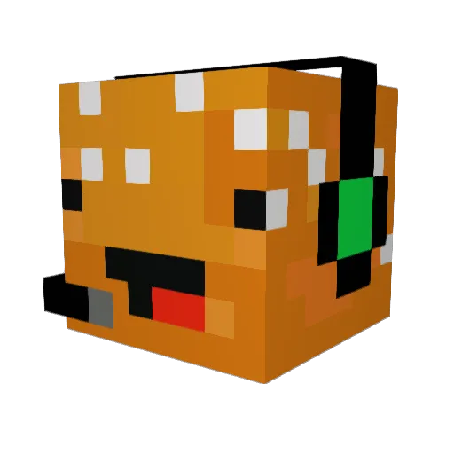 chokawaii_ Minecraft avatar head, 3D render