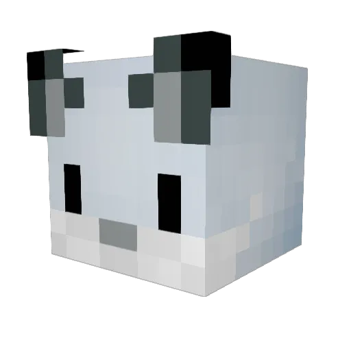 chokazuu Minecraft avatar head, 3D render
