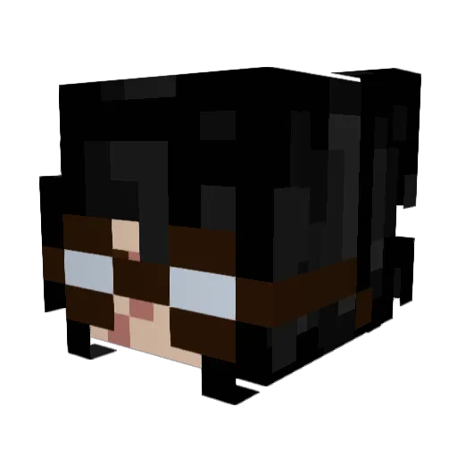 chokingonflwrs Minecraft avatar head, 3D render